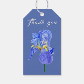 Para Presente Iris Azul De Aquarela Obrigado Etiqueta De Present