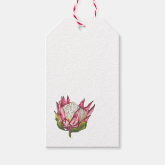 Para Presente Protea de Aquarela com Etiqueta Branca
