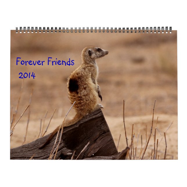 Para sempre amigos - calendário de FKMP 2014 (Capa)