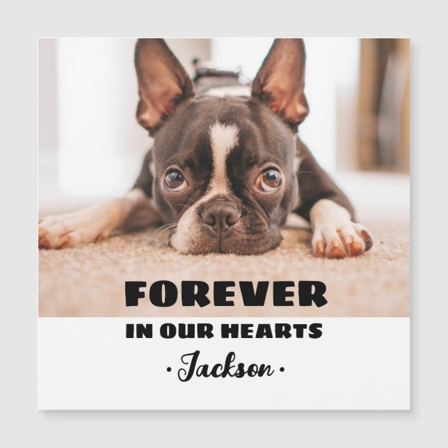 Para sempre, Pet Memorial Magnetic Card (Frente)