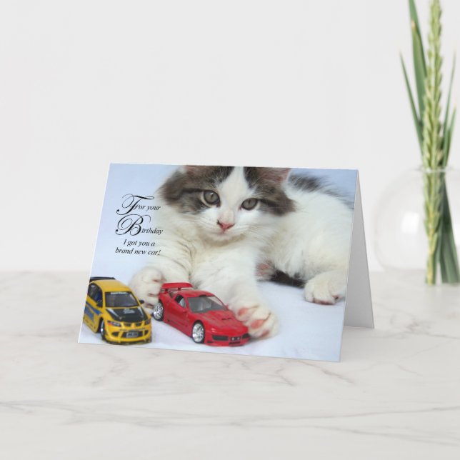 Para seus cartões do aniversário (gato) (Frente)