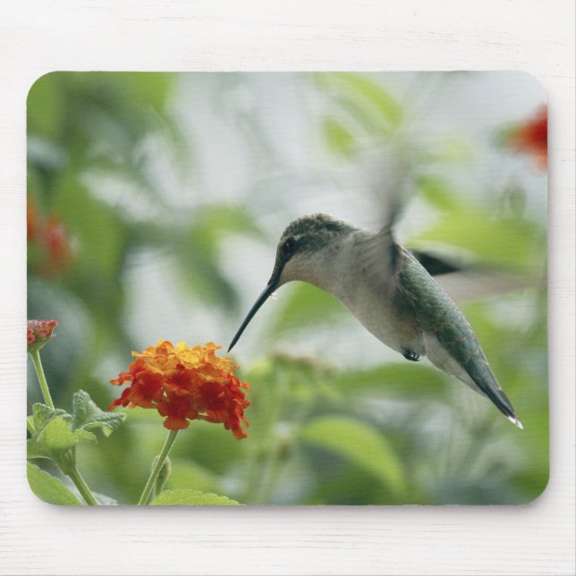 Para travar um colibri Mousepad (Frente)