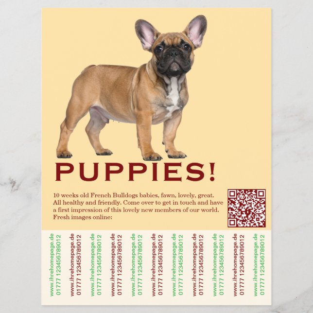 Para vender folheto de cachorro Frenchies (Frente)