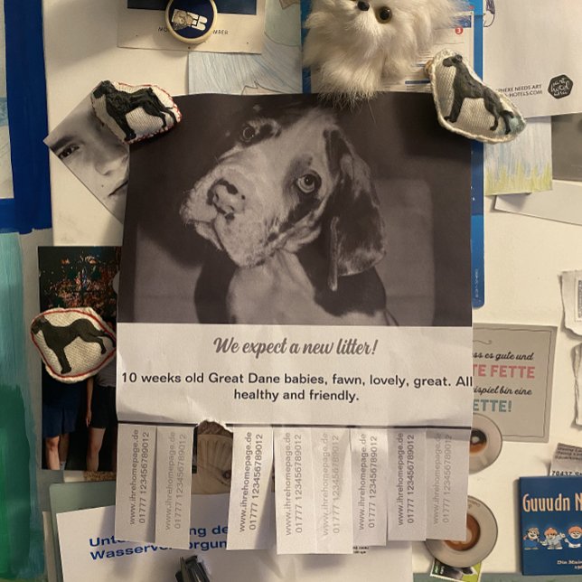 Para vender folheto de filhotes Dane (Criador carregado)