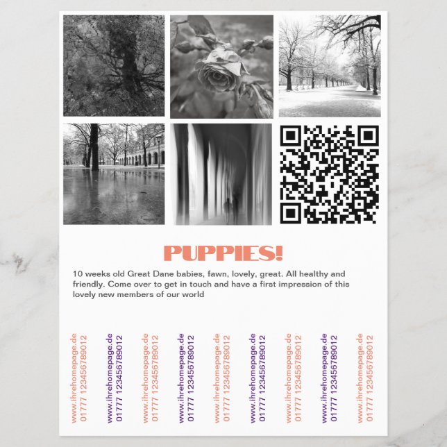 Para vender o Dane Puppies Flyer (Frente)