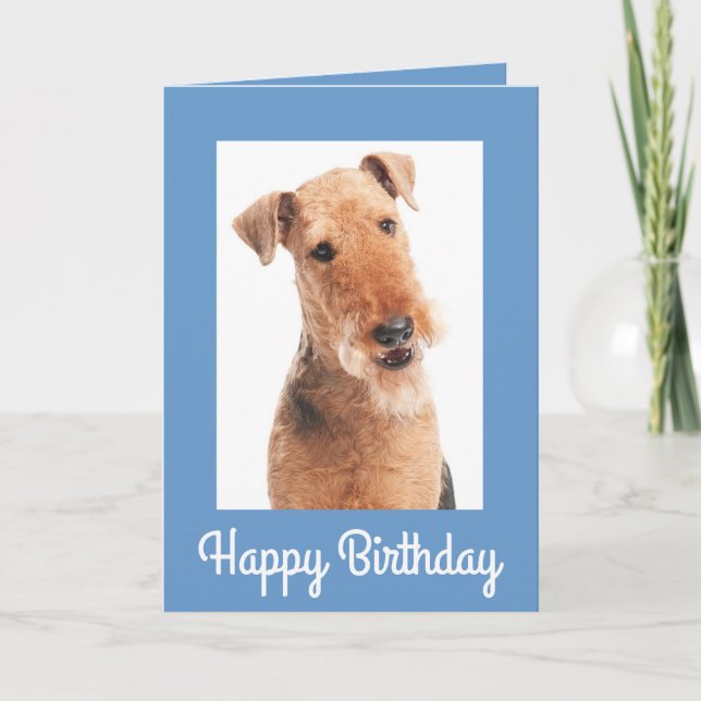 Parabéns Airedale Terrier Dog Cartão de Saudação (Frente)