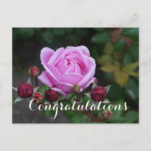 Parabéns Bishop's Castle #1 Cartão Postal