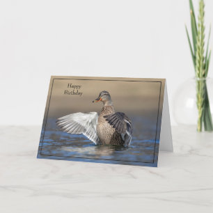 Parabéns Cartão de Aniversário Mallard Duck