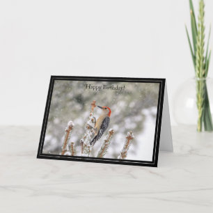 Parabéns Cartão de Aniversário, Pica-Pau De Belém 