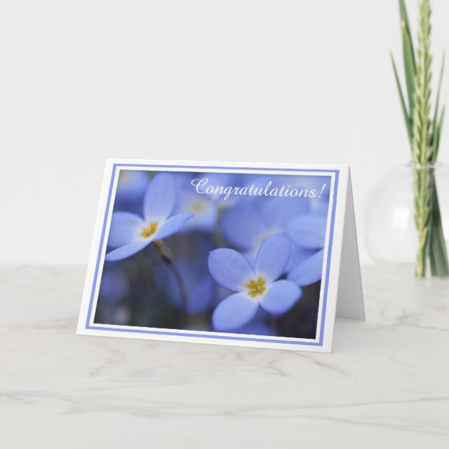 Parabéns - cartão de Bluettes (Frente)