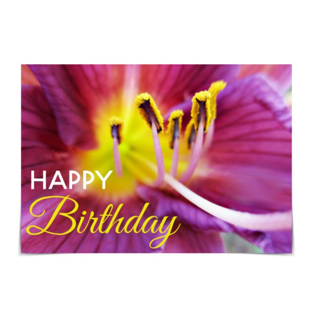 "Parabéns" Cartão de Dia Púrpura e Amarelo (Happy Birthday! This card features a purple and yellow lily.)
