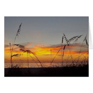 Parabéns Cartão de Saudação Sunset e Sea Oats