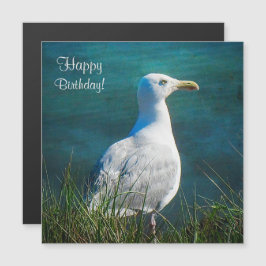 Parabéns, Seagull Magnetic Card