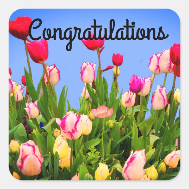 Parabéns Várias Tulipas 3 Adesivos (Frente)