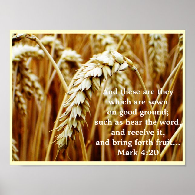 Parable of the Sower Poster (Frente)