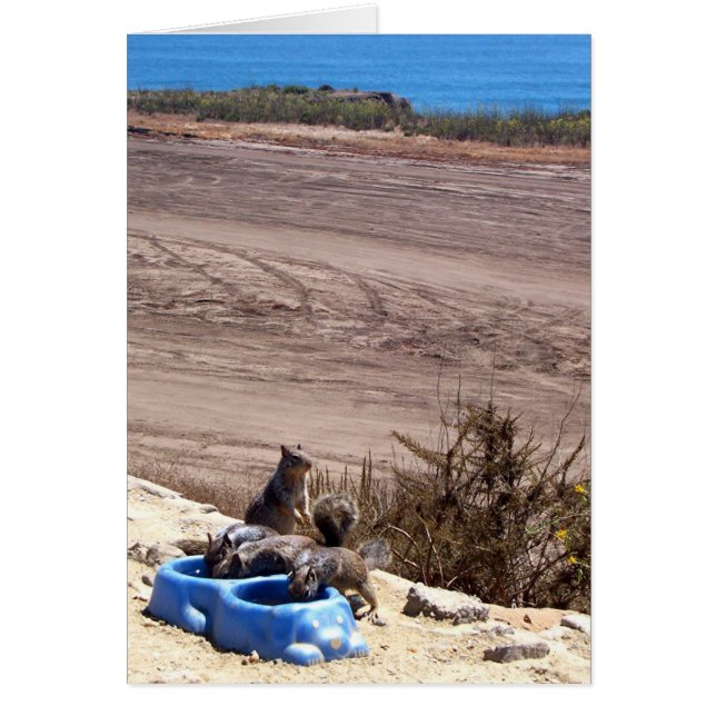 Parada de repouso - Cartão (Frente)