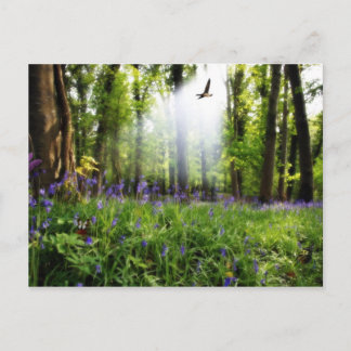 paraíso encontrado no cartão postal