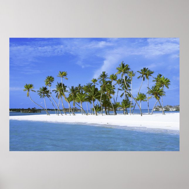 paraíso na praia com poster hammock_Maldives (Frente)