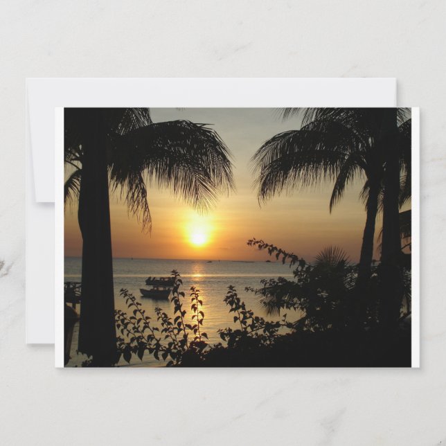 Paraíso tropical (Frente)