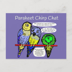 Parakeet Chirp e Talk são cartões postais barato