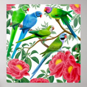 Parakeets e poster das peônias
