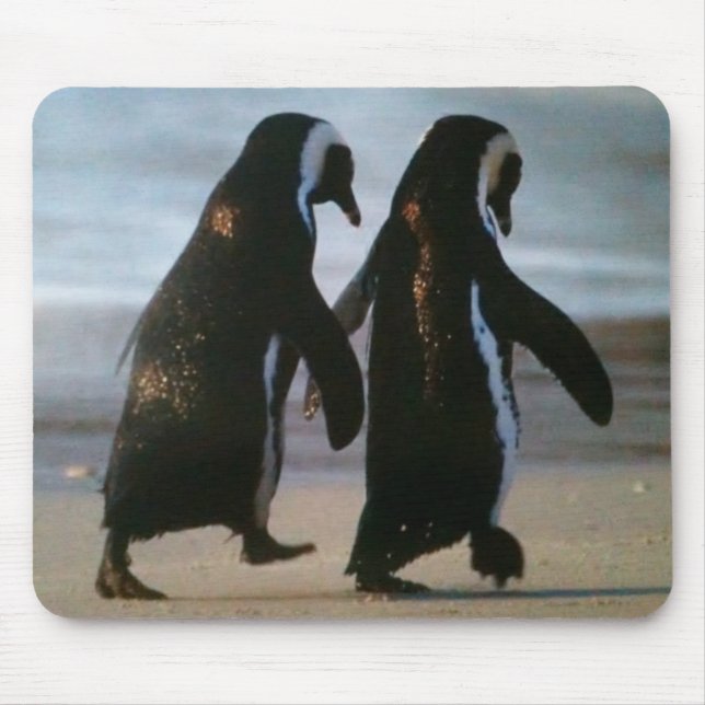 PARCEIROS DO PENGUIN MOUSEPAD (Frente)