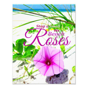 Pare & cheire a foto dos rosas da praia