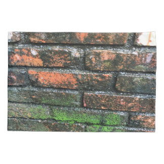 Parede de Brick Antiga