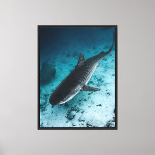 Parede de Canvas de tubarão-Tigre Submarino