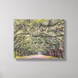 Parede de Canvas de Wormsloe Savannah Art 11x14