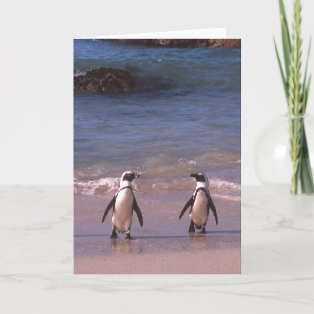 Pares do pinguim no cartão da praia (Frente)