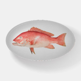 Pargo Vermelho Peixe de Água Salgada
