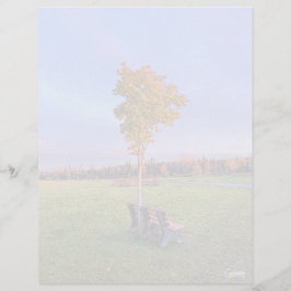 Park Bench - Folha de Papel de 8,5" x 11"