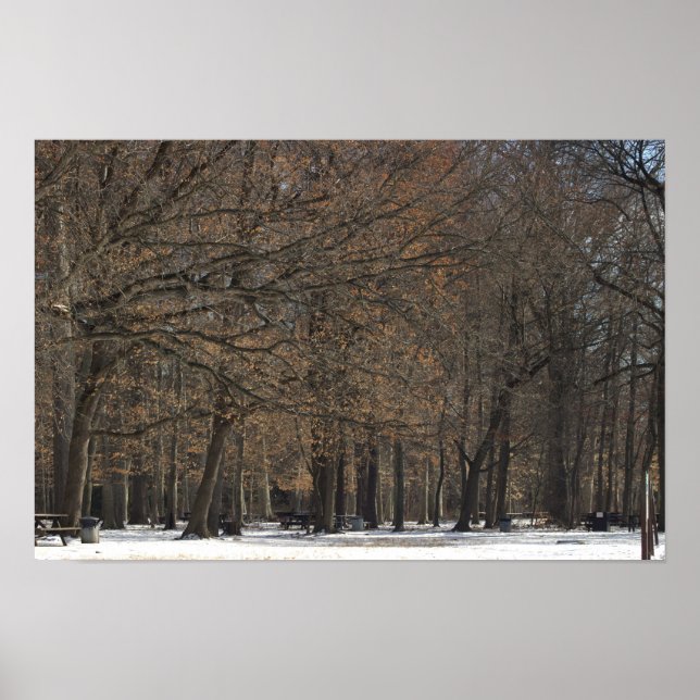 Park Trees e Poster de neve (Frente)