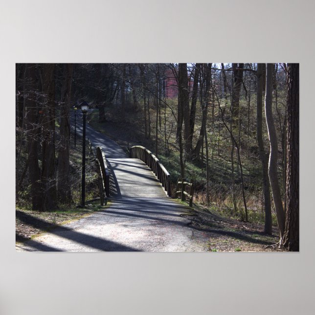 Park Walking Bridge Poster (Frente)