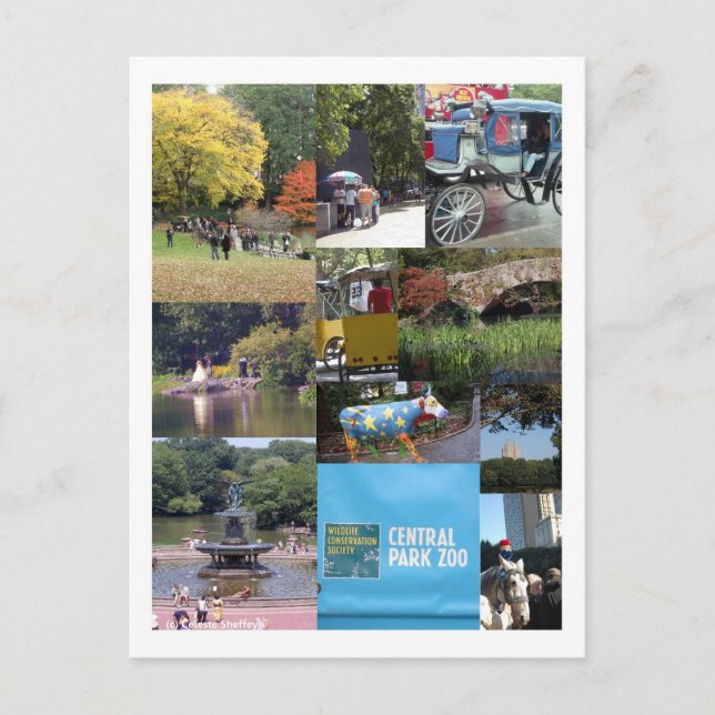 Parque Central - Cartão Postal de NYC (Frente)