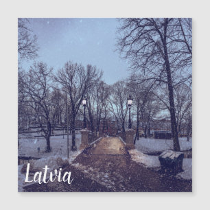 Parque da cidade de neve de inverno à noite