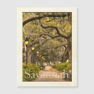 Parque de Forsyth do vintage - savana, GA,