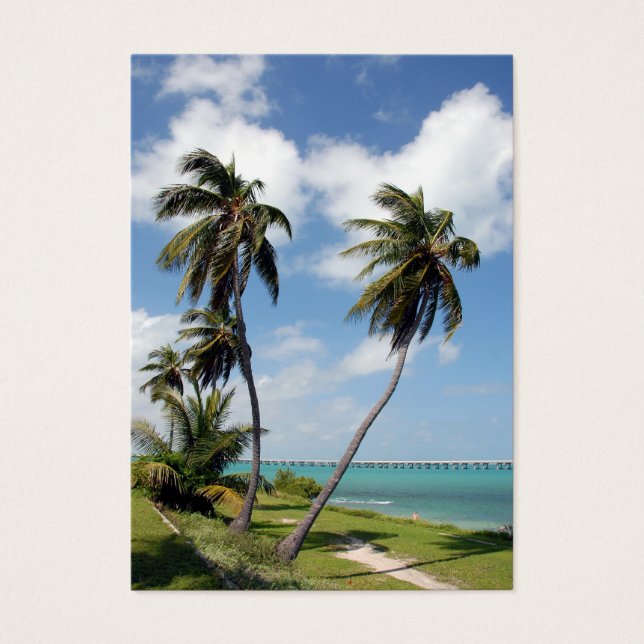 parque estatal bahia honda e ponte de sete milhas (Frente)