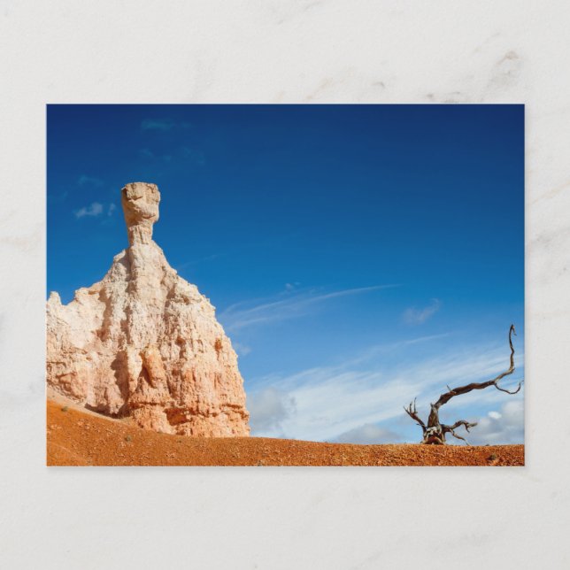 Parque Nacional Bryce Canyon - cartão postal do gn (Frente)