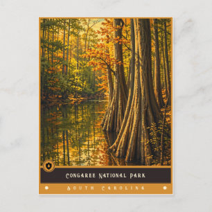 Parque Nacional Congaree   Cartão Postal Antigo