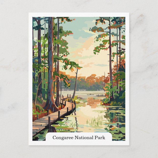 Parque Nacional Congaree EUA Cartão Postal (Frente)