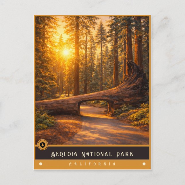 Parque Nacional de Sequoia | Cartão Postal Antigo (Frente)