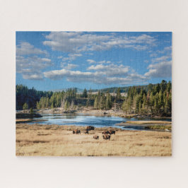 Parque Nacional de Yellowstone: Quebra-cabeça de B