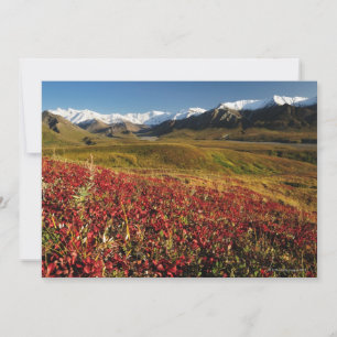 Parque Nacional Denali