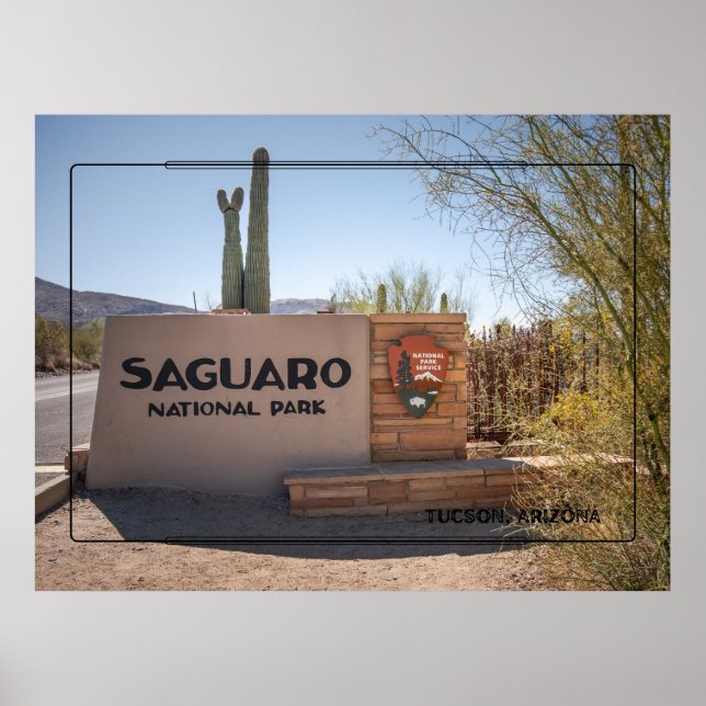 Parque Nacional do Saguaro - Poster do Deserto Ari (Frente)