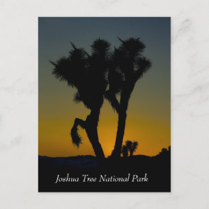 Parque Nacional Joshua Tree, Cartões postais da Ca
