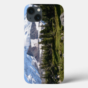 Parque Nacional Mount Rainier, WA. Spray Park