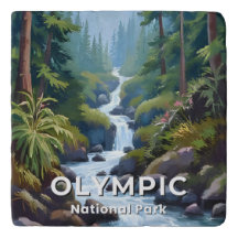 Parque Nacional Olympic | Viagem pelo Washington
