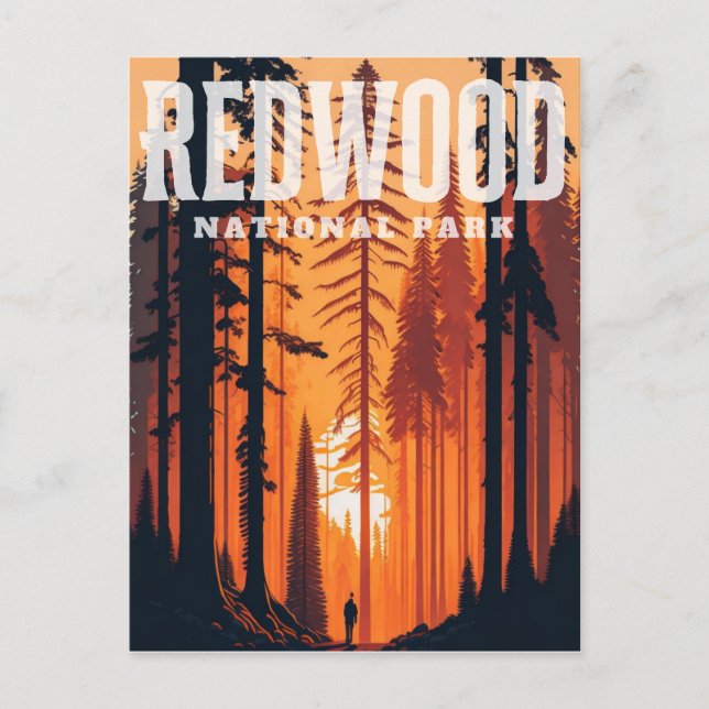 Parque Nacional Redwood, cartão postal CA (Frente)